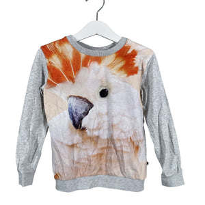 Unisex Molo Kids - Trikoopaita, koko 104 - 110 - Harmaa (1)