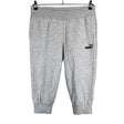 Naisten Puma - Collegecaprit, koko 40 - Harmaa ()