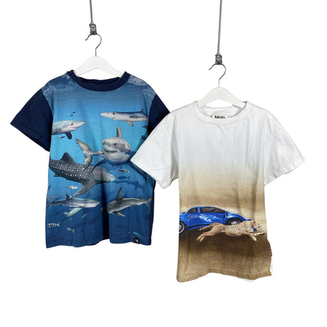 Poikien Molo Kids - T-paita, koko 146 - 152 - Sininen ()