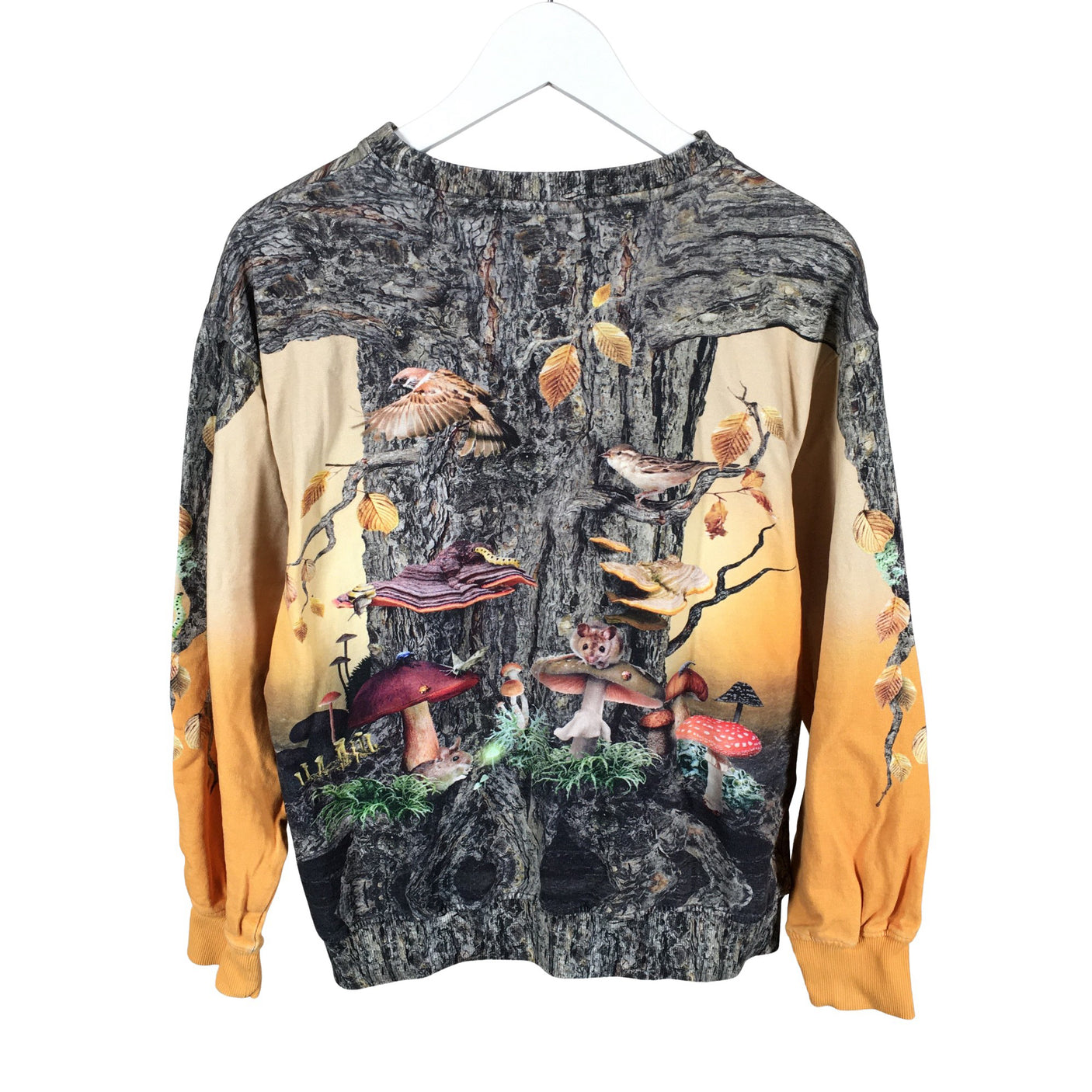 Unisex Molo Kids - Collegepaita, koko 170 - 176 - Oranssi (2)