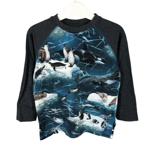 Unisex Molo Kids - Trikoopaita, koko 98 - 104 - Harmaa (1)