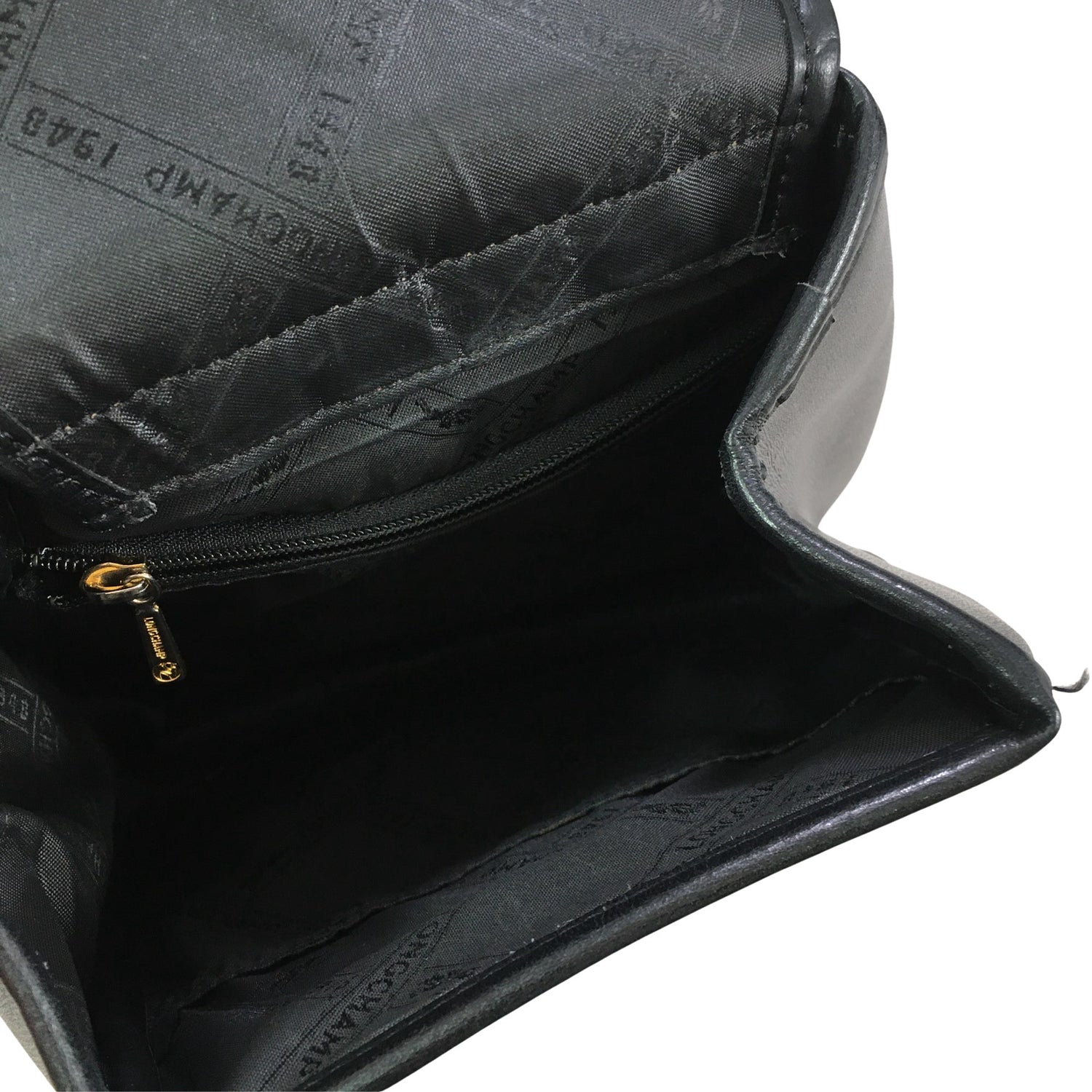  Reppu  Reppu, koko Mini  Longchamp 