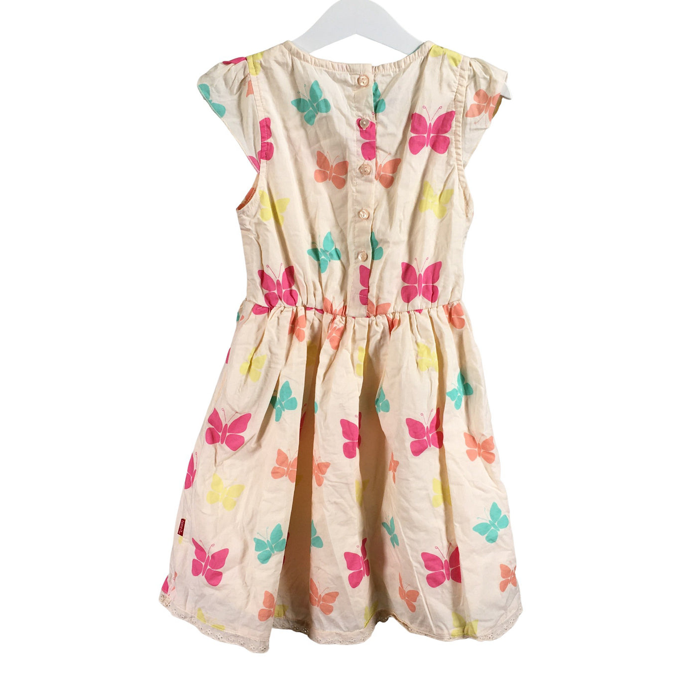 Kangasmekko, koko 116 - 122